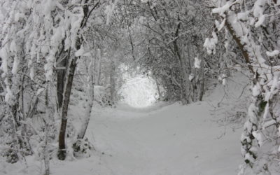 Paysage ou Nature ?  Un question !