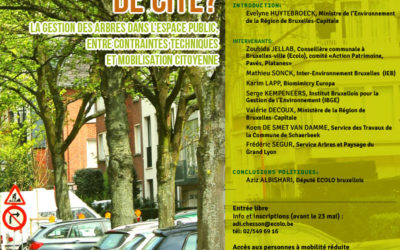 Les Arbres ont-ils le droit de Cité ?  Colloque le 28 mai 2013