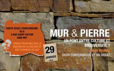 MUR ET PIERRE, un pont entre culture et biodiversité ?