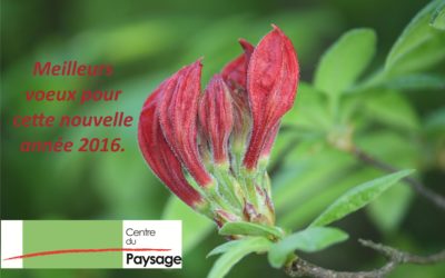 Bonne année 2016