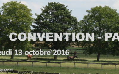 CONVENTION – PAYSAGE 13 octobre 2016 au Bois du Cazier (Marcinelle)