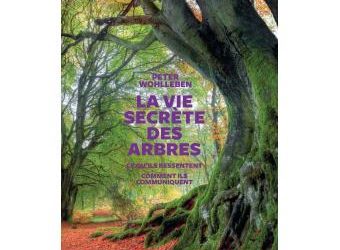 Lecture conseillée pour une approche différente de l&rsquo;arbre