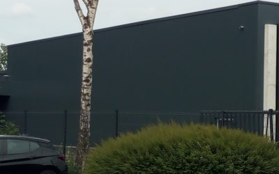 Arbre urbain : programme de gestion simplifiée en 7 points