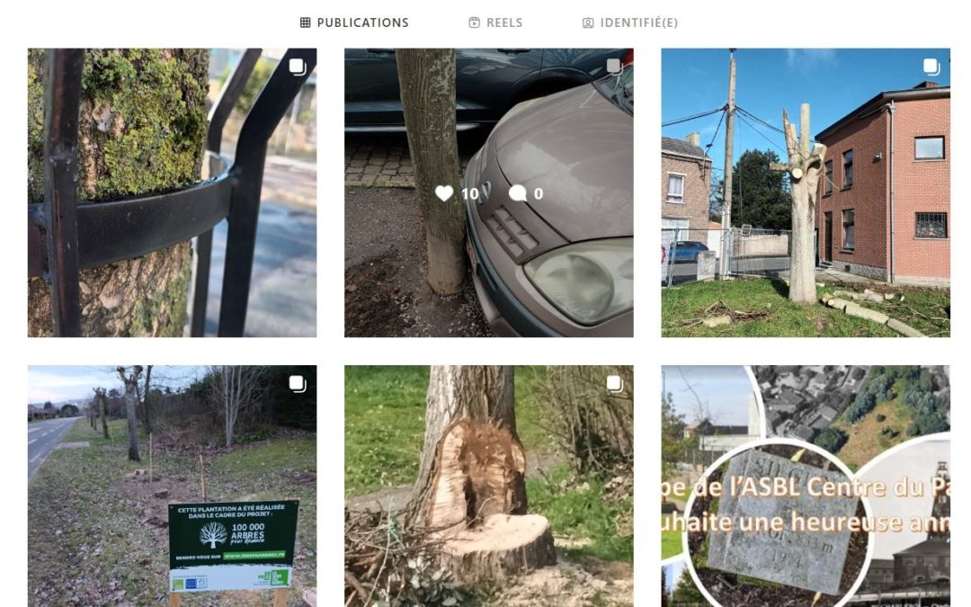 Suivez l’initiative boommeester sur Instagram