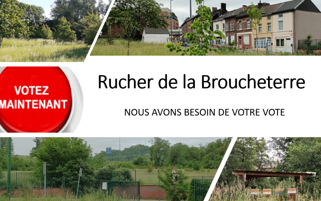 Rucher de la Broucheterre : votez en ligne pour un projet au sein du parc de la B.B.C