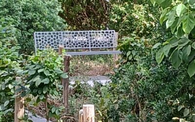 Quand une petite place redevient un espace de nature urbaine